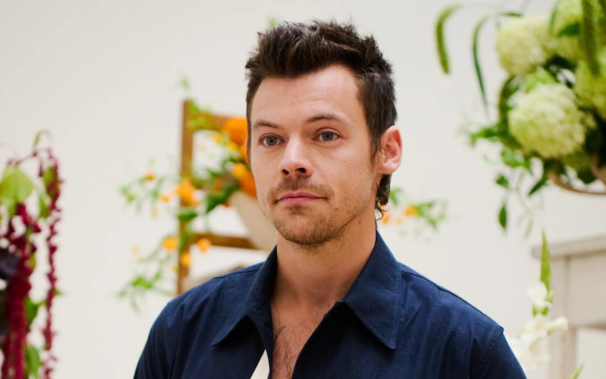 هاري ستايلز يعود بعد غياب طويل