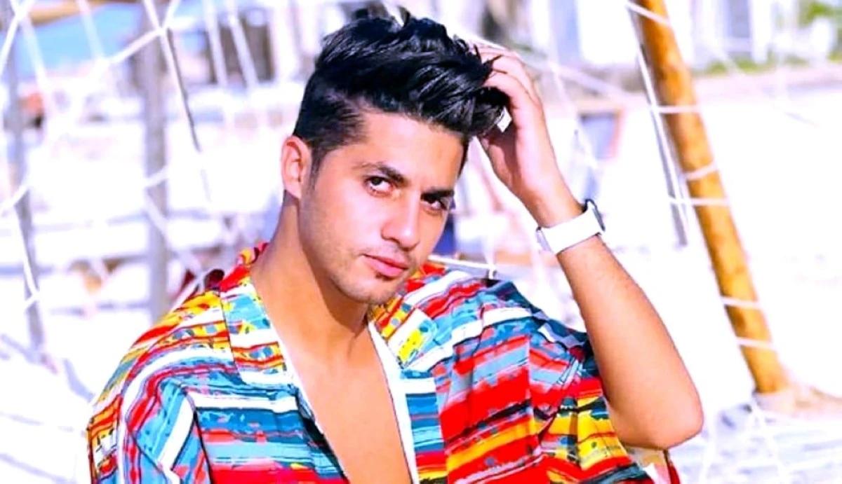 للمرة الثانية.. نقل عنبة إلى المستشفى إثر وعكة مفاجئة